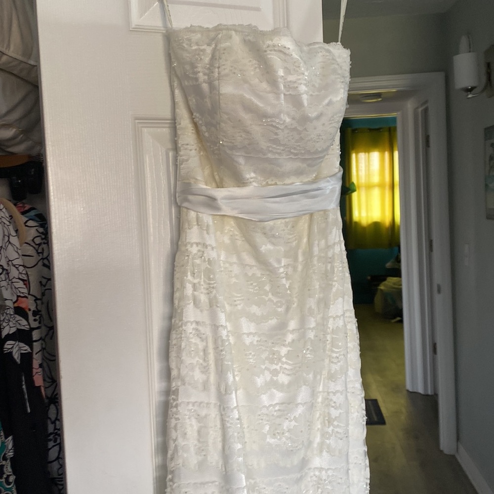 Lovely Davids Bridal lace gown with sequins [Ivory] - Picture 4 of 12